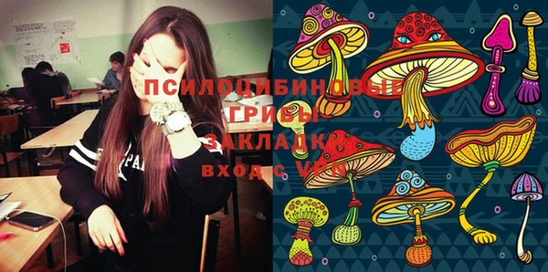 СК Балахна