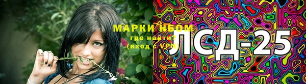 эйфоретик Баксан