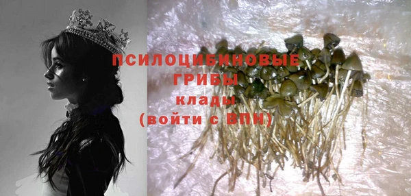 СК Балахна