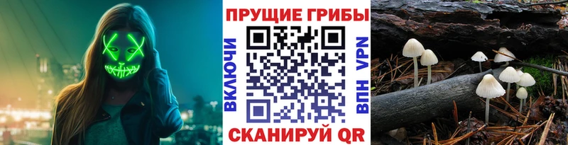 Галлюциногенные грибы прущие грибы  Купить закладки  Ряжск 